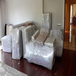 Ev Taşıma Şirketi